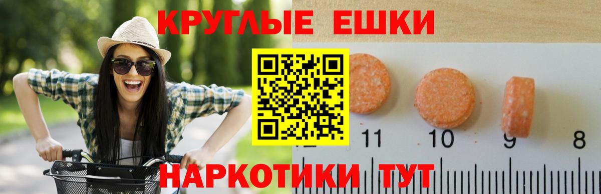 A PVP Волгодонск