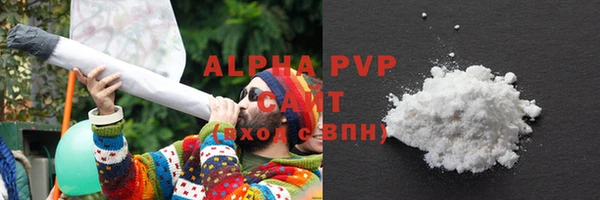 СК Козельск