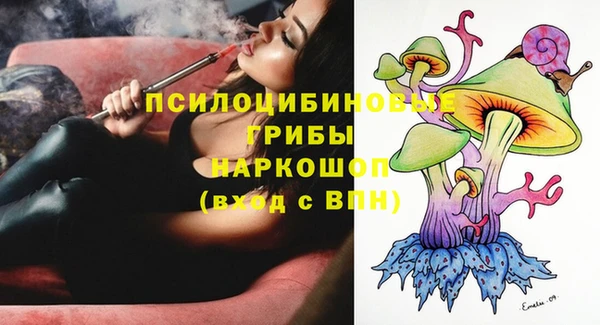 СК Козельск