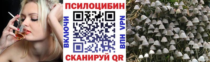 Псилоцибиновые грибы прущие грибы Волгодонск