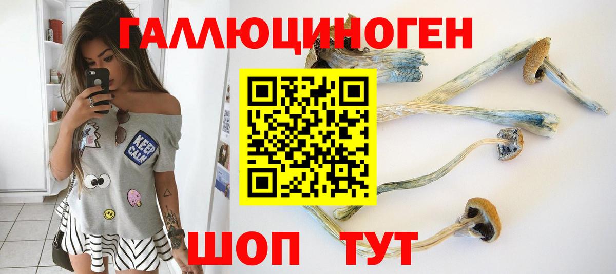 Псилоцибиновые грибы GOLDEN TEACHER  Галлюциногенные грибы мухоморы  Вход с VPN  Волгодонск 